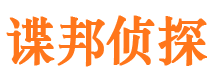 环江市调查公司